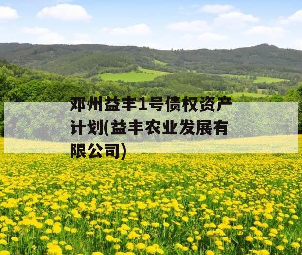 邓州益丰1号债权资产计划(益丰农业发展有限公司)