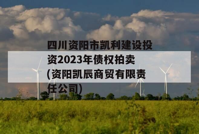 四川资阳市凯利建设投资2023年债权拍卖(资阳凯辰商贸有限责任公司)