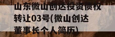 山东微山创达投资债权转让03号(微山创达董事长个人简历)