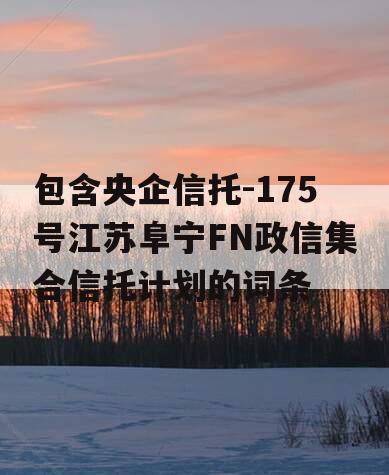 包含央企信托-175号江苏阜宁FN政信集合信托计划的词条