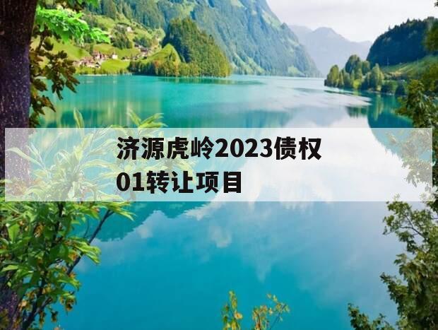 济源虎岭2023债权01转让项目