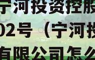 天津宁河投资控股债权拍卖02号（宁河投资控股有限公司怎么样）