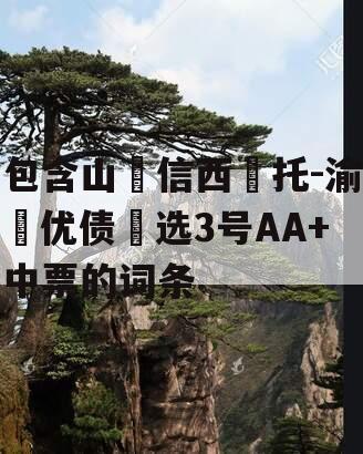 包含山‮信西‬托-渝‮优债‬选3号AA+中票的词条