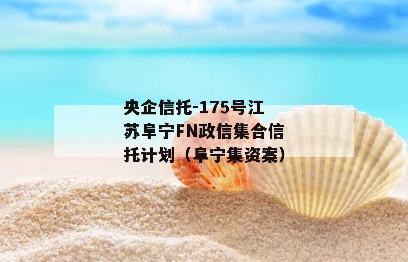央企信托-175号江苏阜宁FN政信集合信托计划（阜宁集资案）