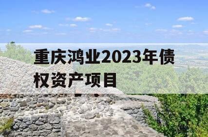 重庆鸿业2023年债权资产项目