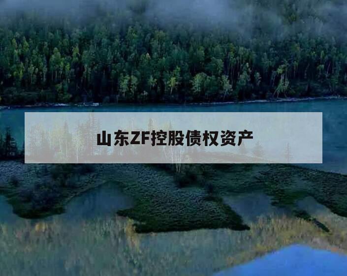 山东ZF控股债权资产