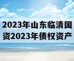 2023年山东临清国资2023年债权资产