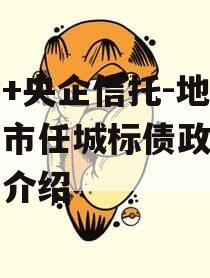 国企+央企信托-地级济宁市任城标债政信的简单介绍