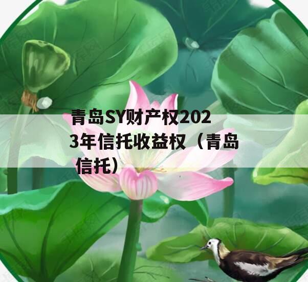 青岛SY财产权2023年信托收益权（青岛 信托）
