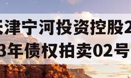 天津宁河投资控股2023年债权拍卖02号