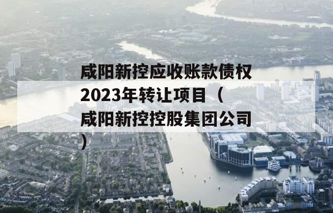 咸阳新控应收账款债权2023年转让项目（咸阳新控控股集团公司）
