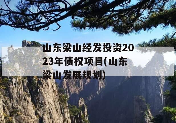 山东梁山经发投资2023年债权项目(山东梁山发展规划)