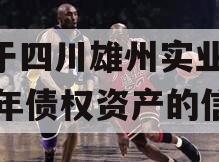 关于四川雄州实业2023年债权资产的信息