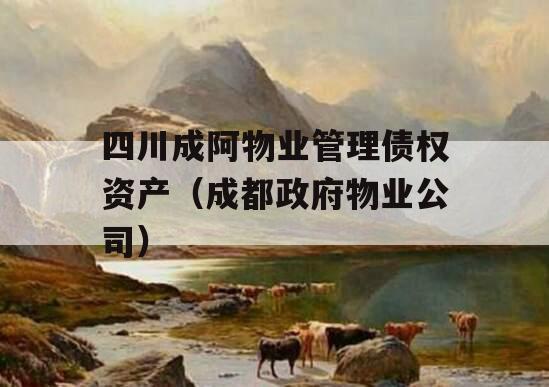 四川成阿物业管理债权资产（成都政府物业公司）