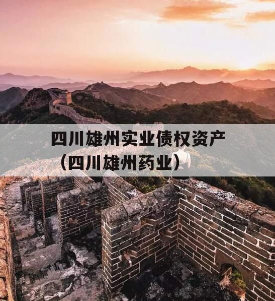 四川雄州实业债权资产（四川雄州药业）