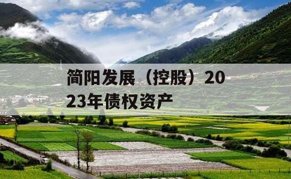 简阳发展（控股）2023年债权资产