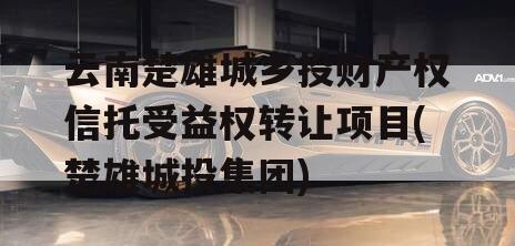 云南楚雄城乡投财产权信托受益权转让项目(楚雄城投集团)