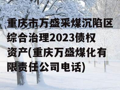 重庆市万盛采煤沉陷区综合治理2023债权资产(重庆万盛煤化有限责任公司电话)