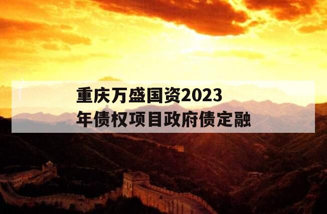 重庆万盛国资2023年债权项目政府债定融