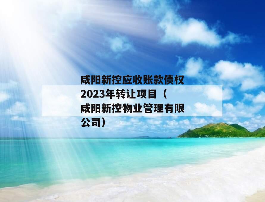 咸阳新控应收账款债权2023年转让项目（咸阳新控物业管理有限公司）