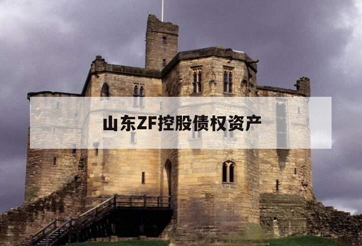 山东ZF控股债权资产