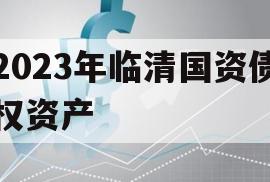 2023年临清国资债权资产