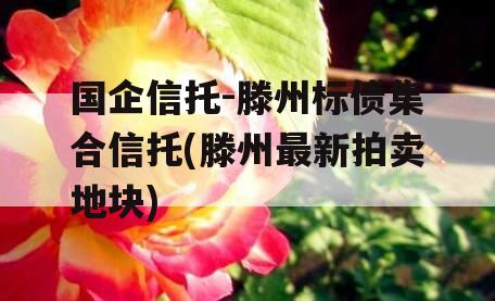 国企信托-滕州标债集合信托(滕州最新拍卖地块)