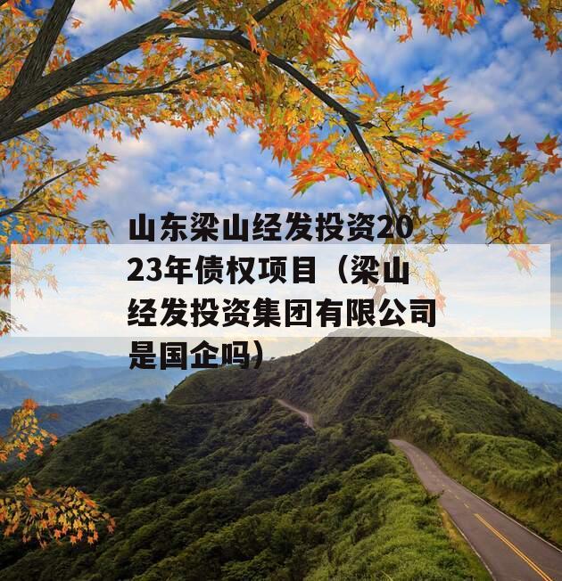 山东梁山经发投资2023年债权项目（梁山经发投资集团有限公司是国企吗）