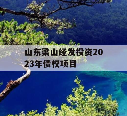 山东梁山经发投资2023年债权项目