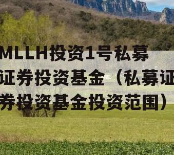 MLLH投资1号私募证券投资基金（私募证券投资基金投资范围）
