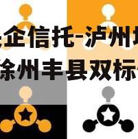 国央企信托-泸州地级市+徐州丰县双标债信托