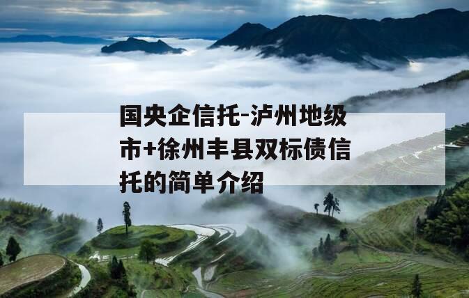 国央企信托-泸州地级市+徐州丰县双标债信托的简单介绍
