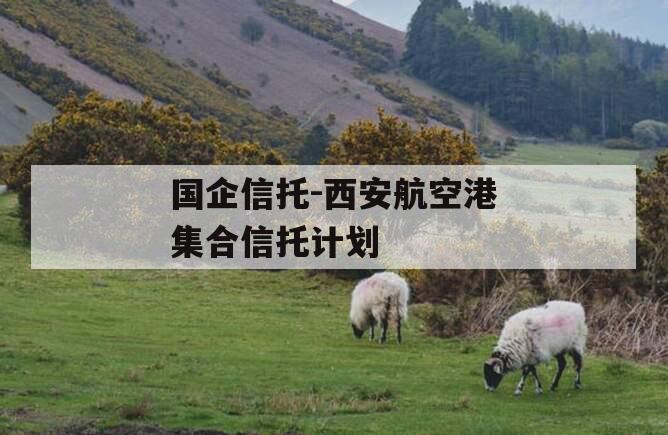 国企信托-西安航空港集合信托计划