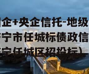 国企+央企信托-地级济宁市任城标债政信（济宁任城区招投标）