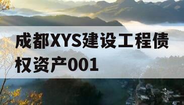 成都XYS建设工程债权资产001