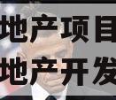 央企信托-19号深圳南山房地产项目(深圳市南山地产开发有限公司如何)