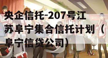央企信托-207号江苏阜宁集合信托计划（阜宁信贷公司）