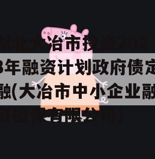 湖北大冶市投资2023年融资计划政府债定融(大冶市中小企业融资担保有限公司)