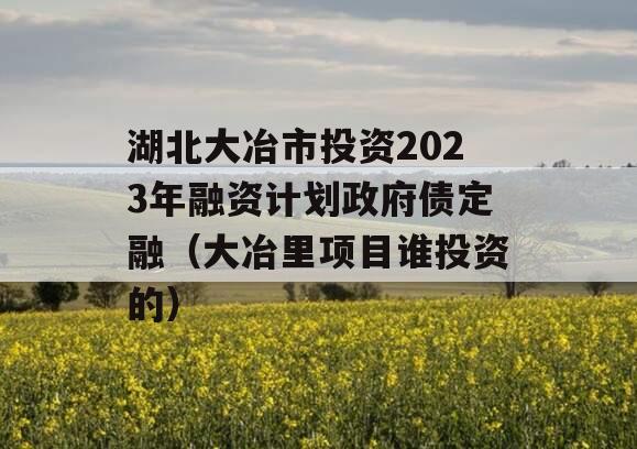 湖北大冶市投资2023年融资计划政府债定融（大冶里项目谁投资的）