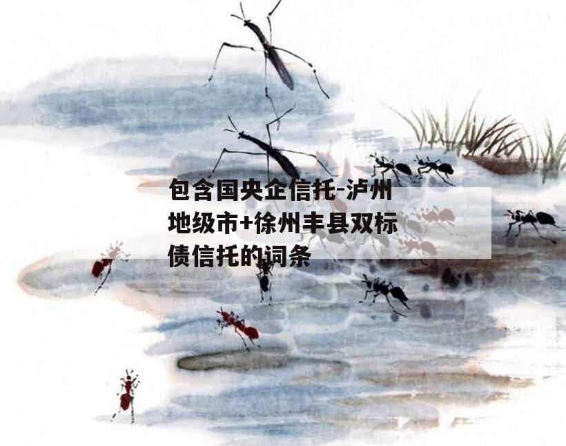 包含国央企信托-泸州地级市+徐州丰县双标债信托的词条