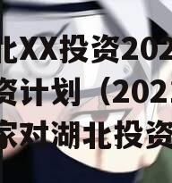 湖北XX投资2023融资计划（2021年国家对湖北投资）