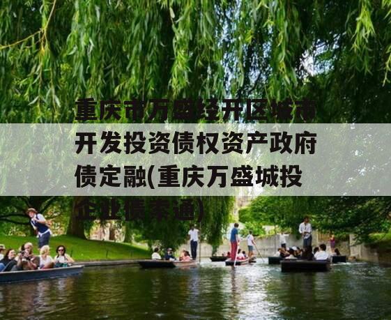 重庆市万盛经开区城市开发投资债权资产政府债定融(重庆万盛城投企业债索通)
