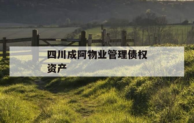 四川成阿物业管理债权资产