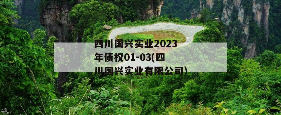 四川国兴实业2023年债权01-03(四川国兴实业有限公司)