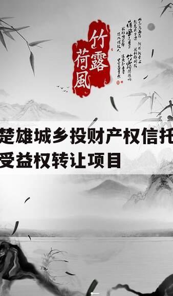 楚雄城乡投财产权信托受益权转让项目
