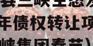 奉节县三峡生态发展2023年债权转让项目（三峡集团奉节）