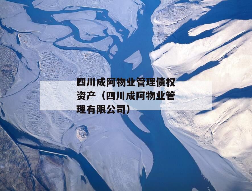 四川成阿物业管理债权资产（四川成阿物业管理有限公司）