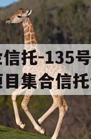 央企信托-135号新沂项目集合信托计划