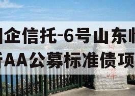 国企信托-6号山东临沂AA公募标准债项目
