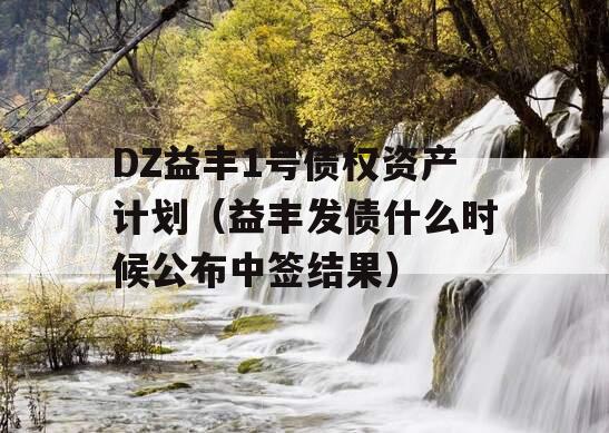 DZ益丰1号债权资产计划（益丰发债什么时候公布中签结果）
